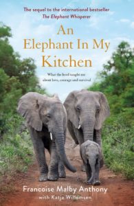 Cover of An Elephant in my Kitchen